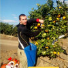 Andrey, 36, г.Первомайск Andrey, 36, г.Первомайск