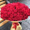 Юлия, 27, г.Авдеевка Юлия, 27, г.Авдеевка