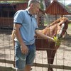 Дима, 30, г.Шаховская Дима, 30, г.Шаховская