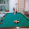 максим, 37, г.Павлово максим, 37, г.Павлово